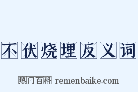 不伏烧埋反义词是什么意思的图片